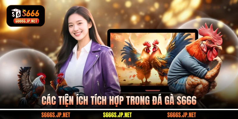 Các tiện ích tích hợp trong Đá gà S666