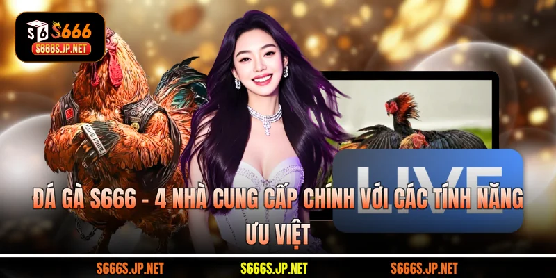 Đá Gà S666 - 4 Nhà Cung Cấp Chính Với Các Tính Năng Ưu Việt