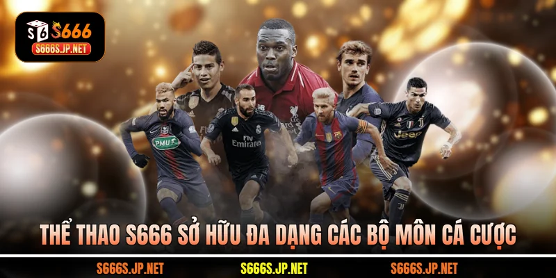 Thể thao S666 sở hữu đa dạng các bộ môn cá cược